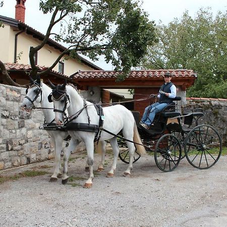 Pensjonat Country House Lokev Zewnętrze zdjęcie