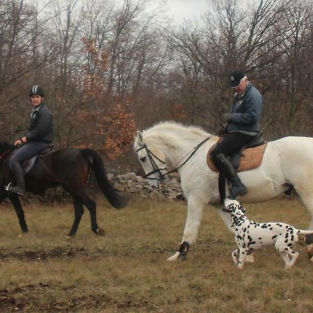 Pensjonat Country House Lokev Zewnętrze zdjęcie