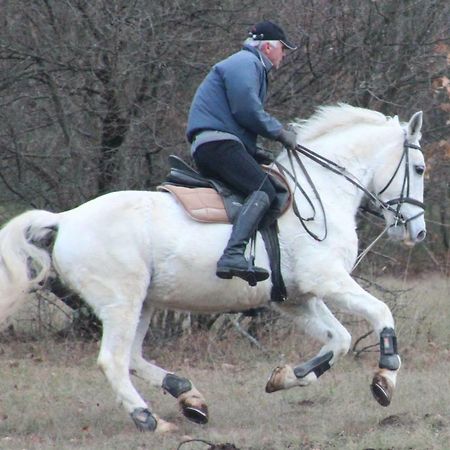 Pensjonat Country House Lokev Zewnętrze zdjęcie
