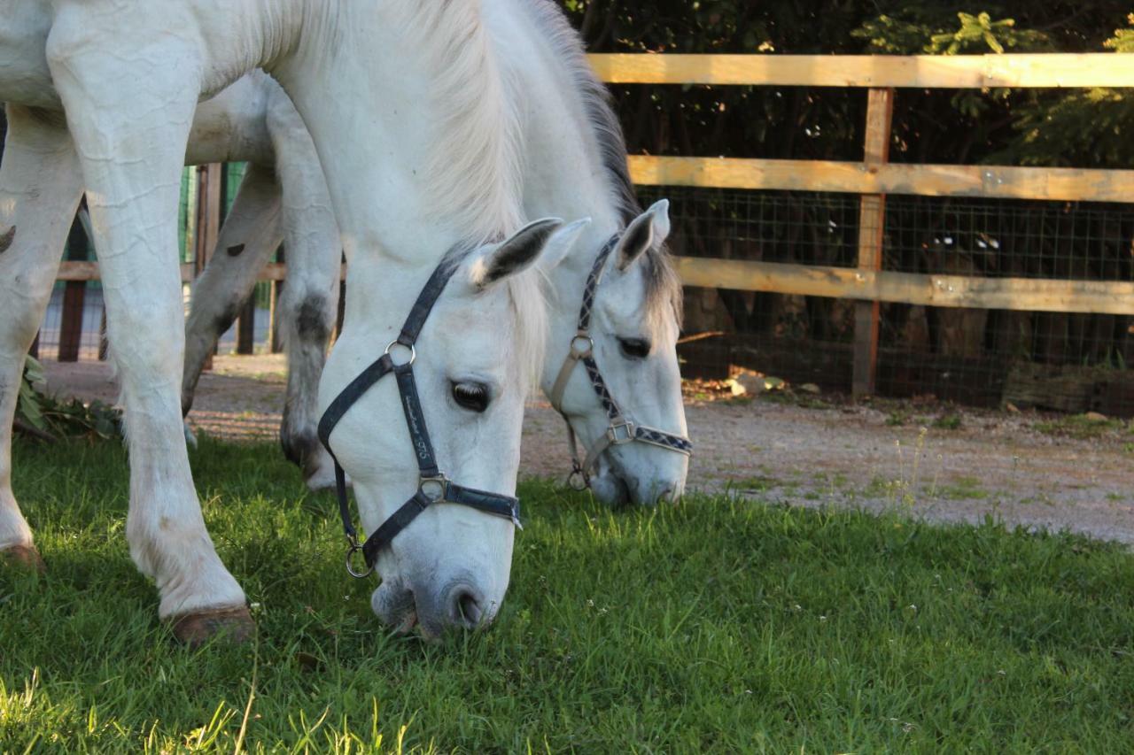 Pensjonat Country House Lokev Zewnętrze zdjęcie