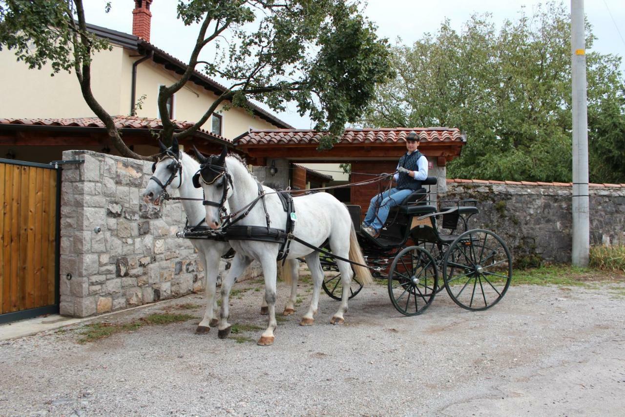 Pensjonat Country House Lokev Zewnętrze zdjęcie
