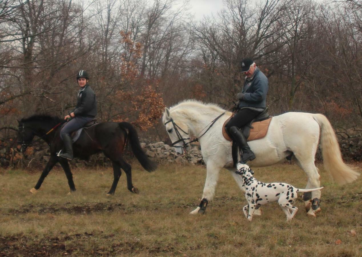 Pensjonat Country House Lokev Zewnętrze zdjęcie